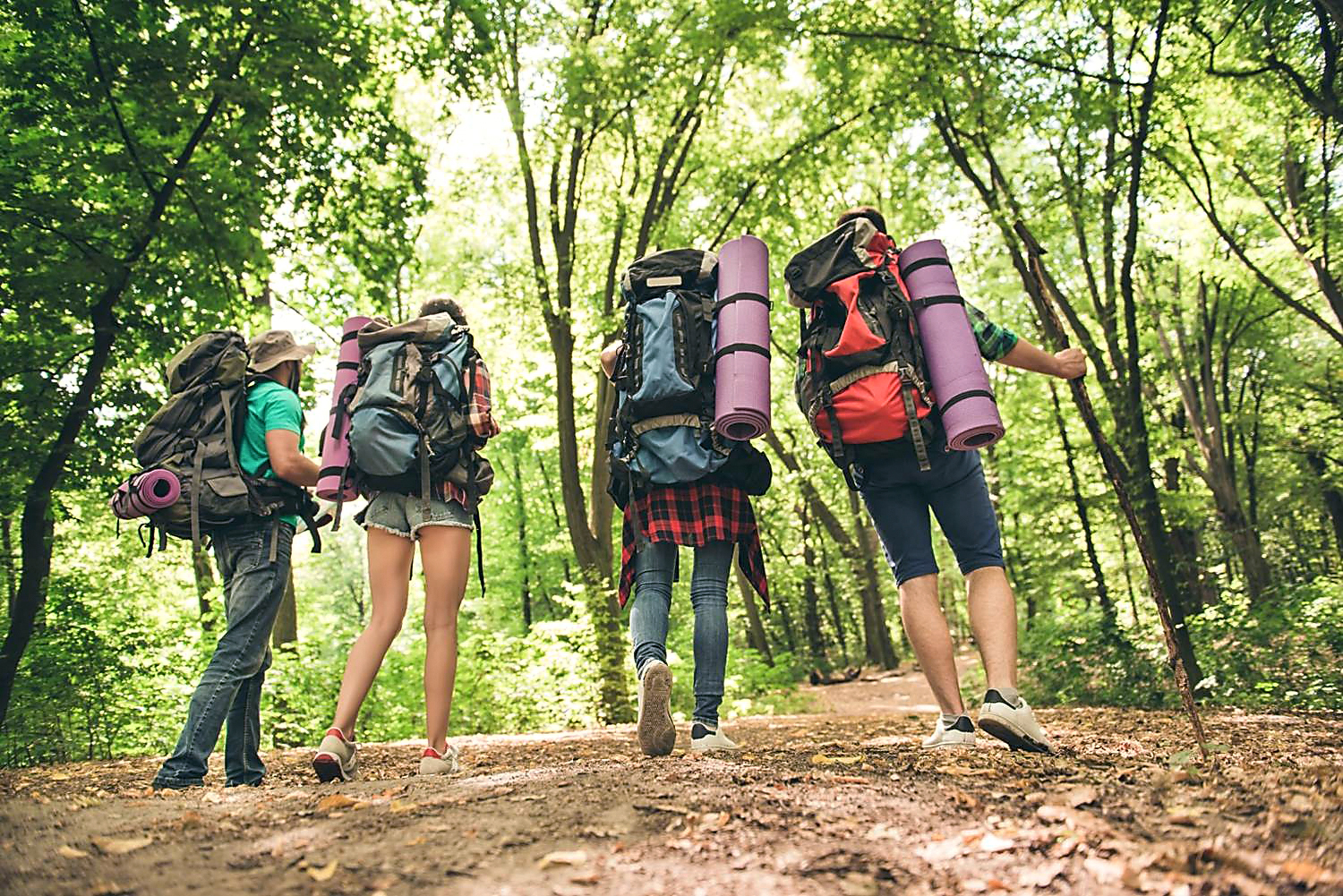 Четверо туристов. Рюкзак для похода. Рюкзак на природе. Туристический рюкзак в поход. Туристы в лесу.
